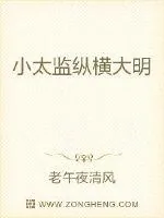 《小太监纵横大明》封面