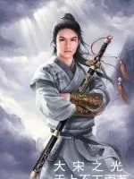 《大宋之光》封面