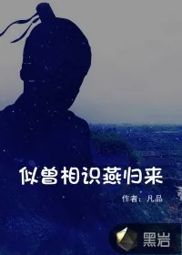 《似曾相识燕归来》封面