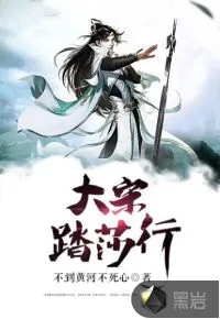 《大宋踏莎行》封面