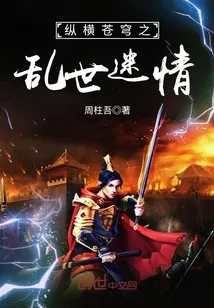 《纵横苍穹之乱世迷情》封面