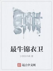 《最牛锦衣卫》封面