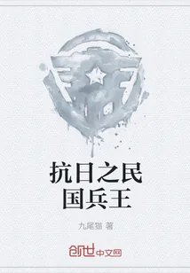 《抗日之民国兵王》封面