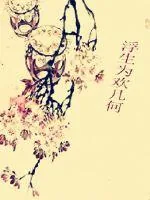 《浮生为欢几何》封面
