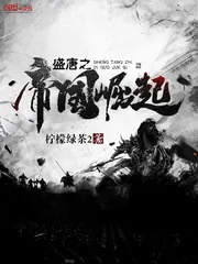 《盛唐之帝国崛起》封面