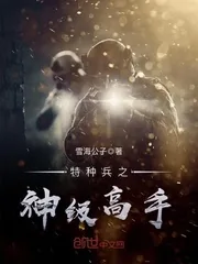 《特种兵之神级高手》封面