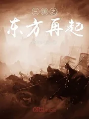 《三国之东方再起》封面