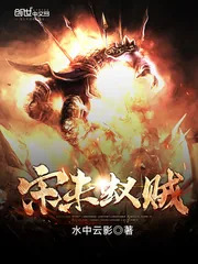 《宋未蚁贼》封面