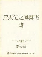 《应天记之凤舞飞鹰》封面