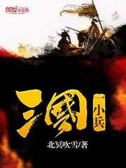 《三国一小兵》封面