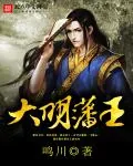 《大明藩王》封面