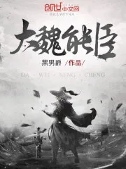 《大魏能臣》封面