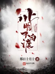 《北明不南渡》封面