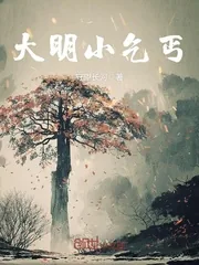 《大明小乞丐》封面