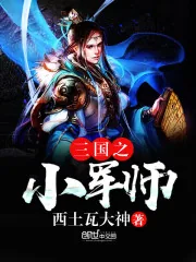 《三国之小军师》封面