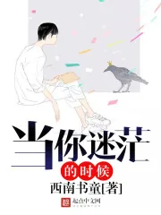 《当你迷茫的时候》封面