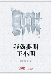 《我就要叫王小明》封面