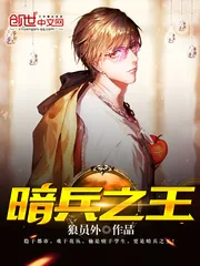 《暗兵之王》封面