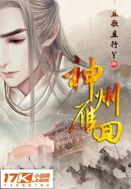 《神州雁回》封面