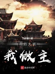 《你的大明我做主》封面