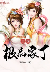 《三国极品家丁》封面