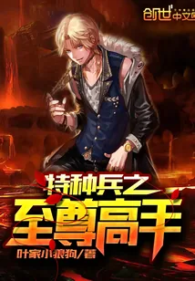 《特种兵之至尊高手》封面