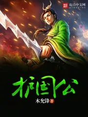 《护国公》封面