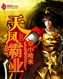 《天凤霸业》封面