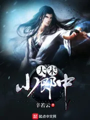 《大宋小郎中》封面