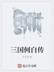 《三国志之大白天下》封面