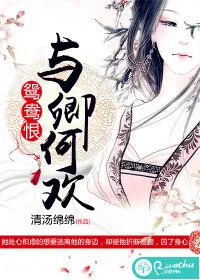 《鸳鸯恨：与卿何欢》封面