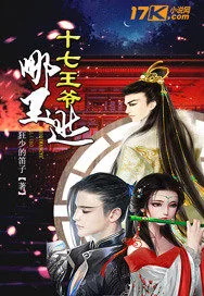 《十七王爷哪里逃》封面