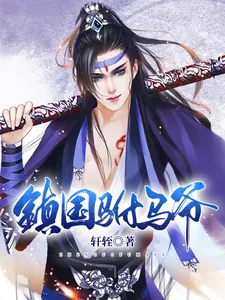 《镇国驸马爷》封面