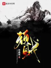 《顽贼》封面
