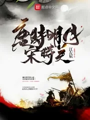 《唐时明月宋时关》封面