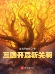 《三国开局斩关羽》封面
