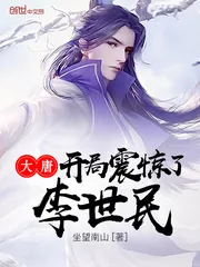 《大唐开局震惊了李世民》封面