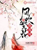 《风吹繁花散落时》封面