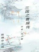 《三国之曹操传》封面
