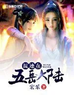 《混迹在五岳大陆》封面