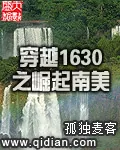 《穿越1630之崛起南美》封面