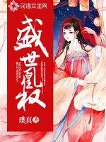 《盛世凰权》封面