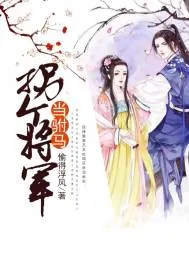 《拐个将军当驸马》封面