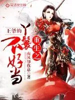 《重生之王爷的丫鬟不好当》封面