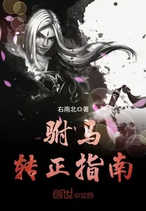 《驸马转正指南》封面