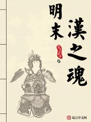 《明末汉之魂》封面