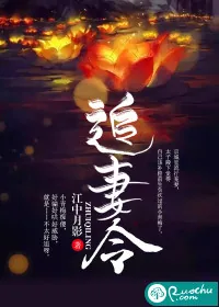 《追妻令》封面