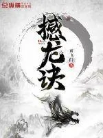 《撼龙诀》封面