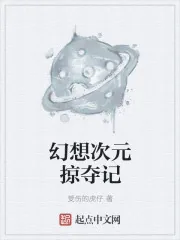 《幻想次元掠夺记》封面