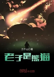 《老子是熊猫》封面